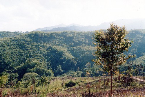 Nan hills